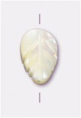 Mother-Of-Pearl Natural Leaf Beads 12x8mm  x2