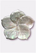 Mother-Of-Pearl Camelia Pendant Gray 38mm x1