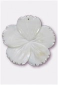 Mother-Of-Pearl White Hibiscus Pendant 40mm x1