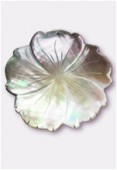 Mother-Of-Pearl Gray Hibiscus Pendant 45mm x1