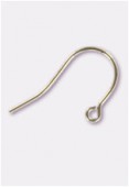 14K Gold Filled Kidney Wire (20mm) x2