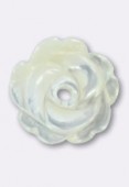 Mother-Of-Pearl 8mm White Rose x1