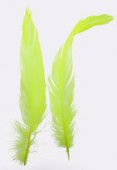 7-9cm Yellow Feathers Rooster x2
