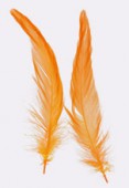 10- 15cm Orange Feathers Rooster x2