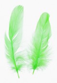 10- 15cm Green Feathers Rooster x2